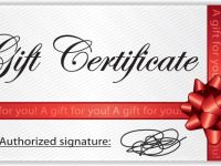 Whale Watching Gift Certificates: The Perfect Holiday Gift