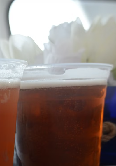 Sunset Dolphin Cruise