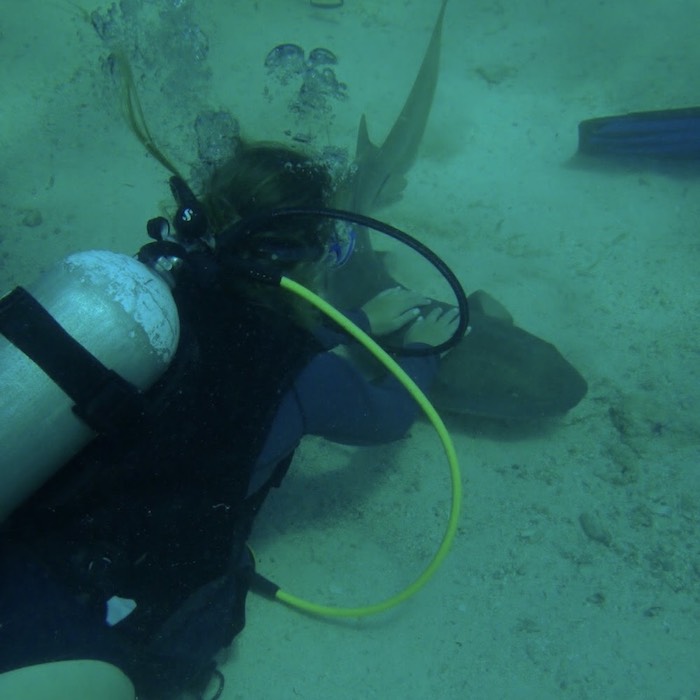 Introducing Naturalist Kristen